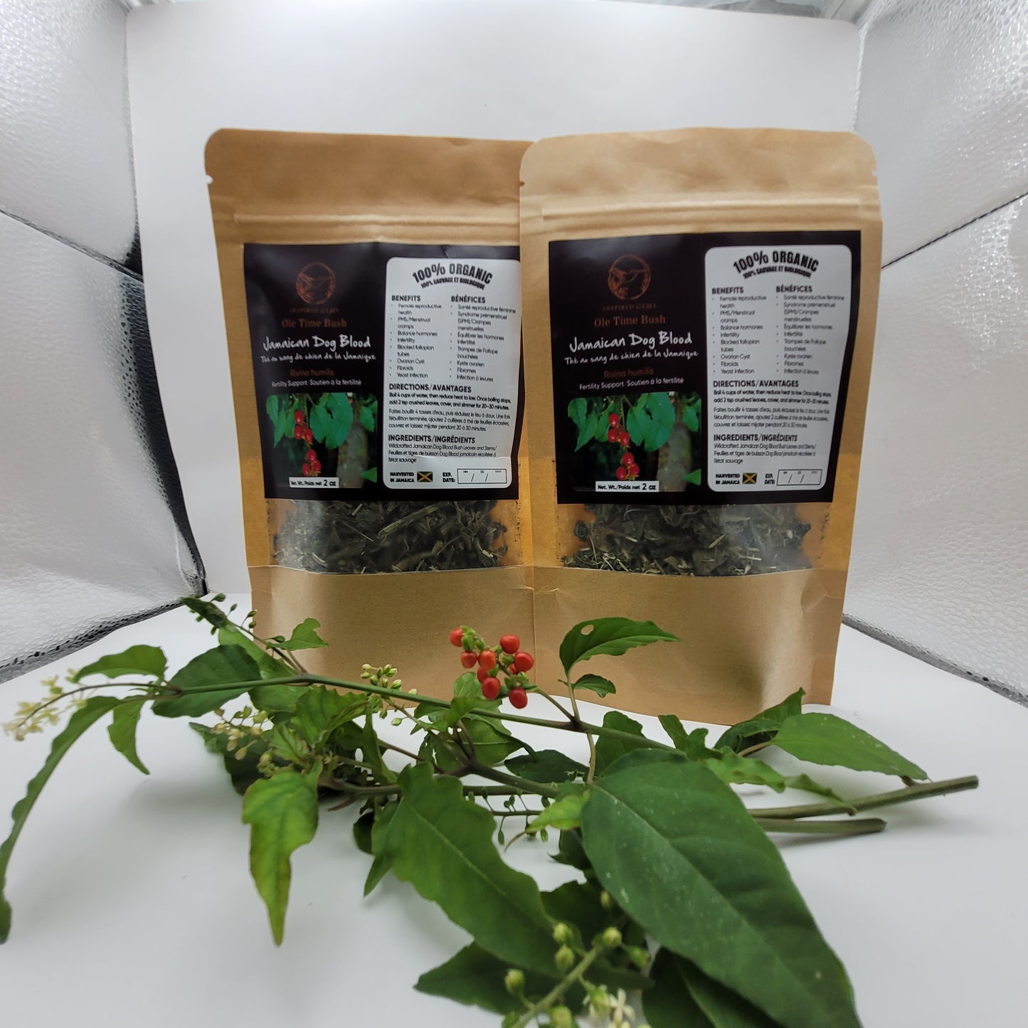 Organic Jamaican Dog Blood Tea – 4oz (2 x 2oz Packs) | Wildcrafted Rivina Humilis | Traditional Jamaican Herbal Tea | Handpicked Bush Tea | Inspired Gems
