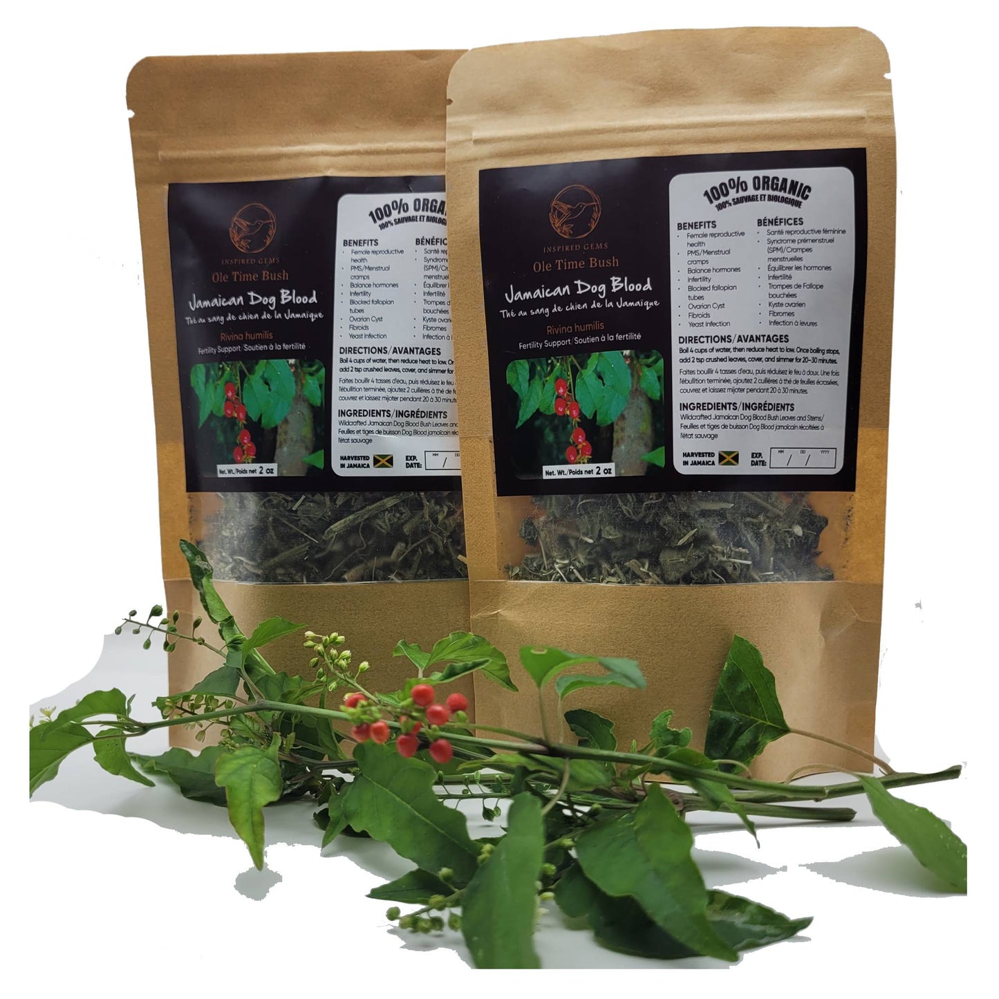 Organic Jamaican Dog Blood Tea – 4oz (2 x 2oz Packs) | Wildcrafted Rivina Humilis | Traditional Jamaican Herbal Tea | Handpicked Bush Tea | Inspired Gems