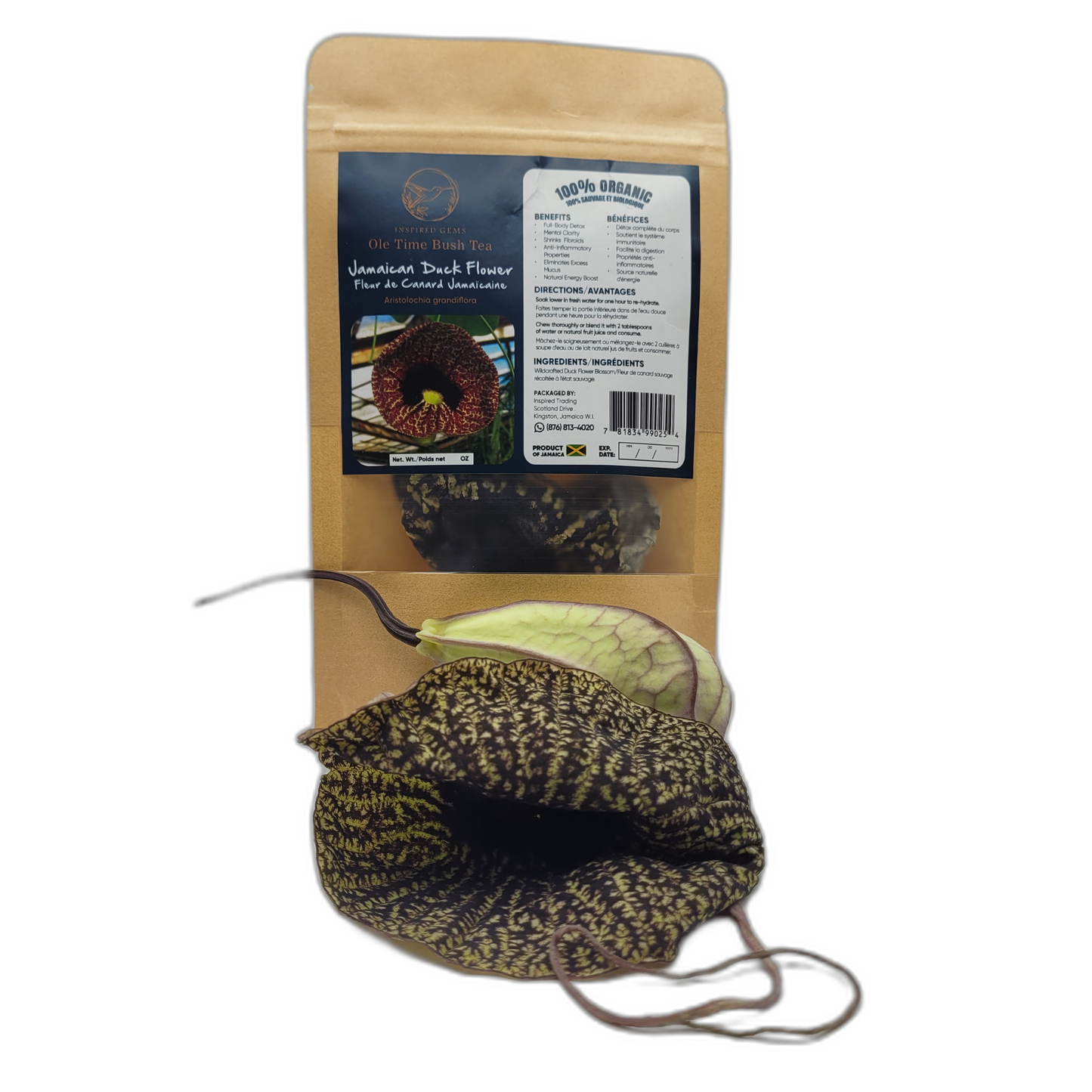 Jamaican Duck Flower Tea – Wildcrafted Herbal Tea from Jamaica – 100% Handpicked – Whole Dried Flower (1 Flower) – Natural Wellness Herbal Blend – Inspired Gems