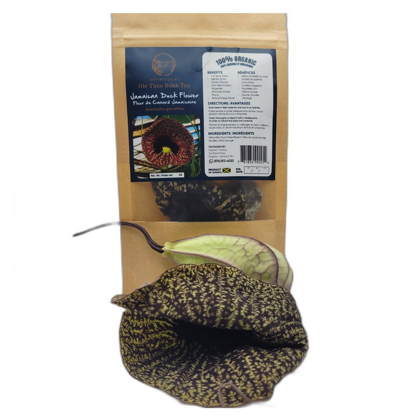 Jamaican Duck Flower Tea – Wildcrafted Herbal Tea from Jamaica – 100% Handpicked – Whole Dried Flower (1 Flower) – Natural Wellness Herbal Blend – Inspired Gems