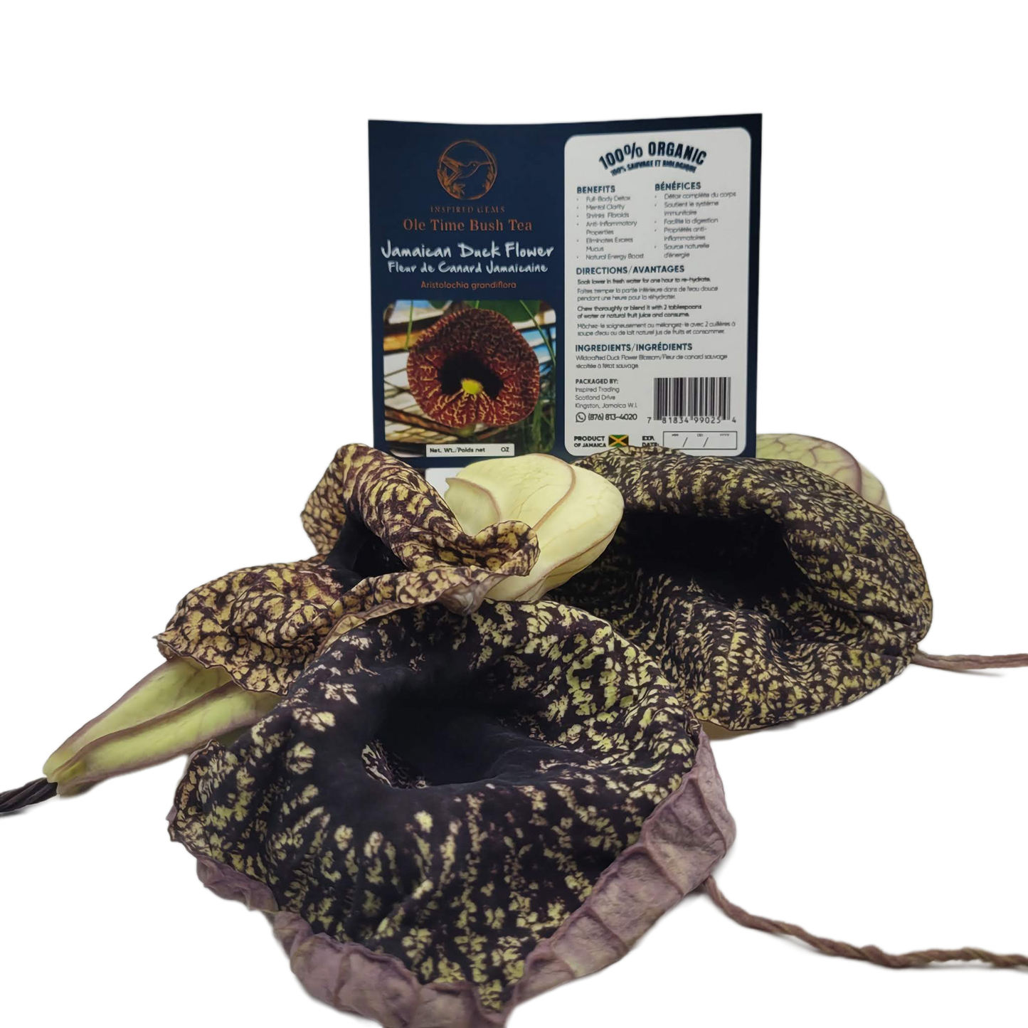 Jamaican Duck Flower Tea – Wildcrafted Herbal Tea from Jamaica – 100% Handpicked – Whole Dried Flower (1 Flower) – Natural Wellness Herbal Blend – Inspired Gems