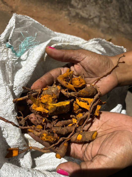 Chaney Root Tea Benefits: Energy, Blood Health & Vitality - Inspired Trading