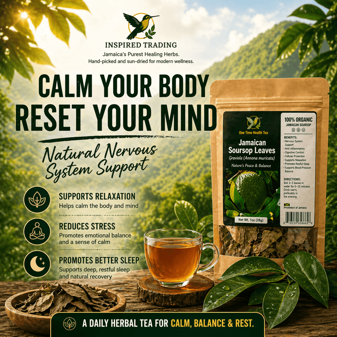 Soursop Leaf Tea: The Jamaican Nightcap Only Elders in the Diaspora Talk About - Inspired Trading