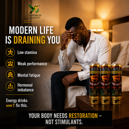 Black Stallion Herbal Tonic (3-Pack) | Authentic Jamaican Vitality Drink - Ship in 24hrs - Available in US & CA