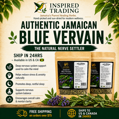Authentic Jamaican Blue Vervain dried herb for relaxation and nerve calming - front view