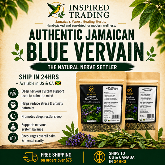 Authentic Jamaican Blue Vervain dried herb for relaxation and nerve calming - front view