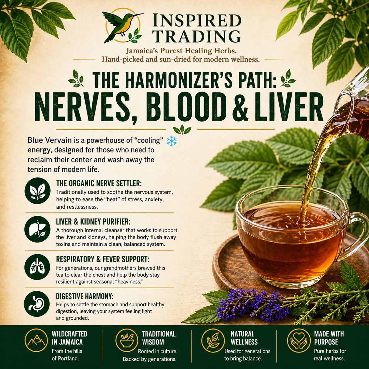Jamaican Blue Vervain 2-pack herbal tea for relaxation and digestion