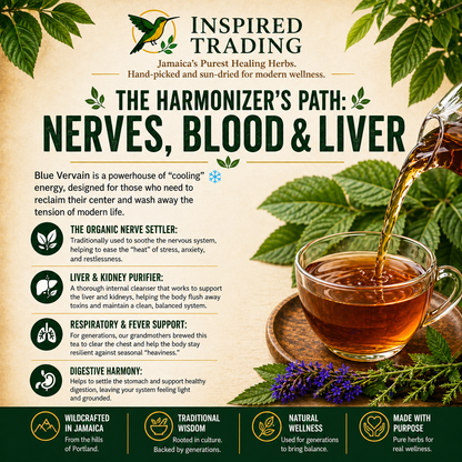 Jamaican Blue Vervain 2-pack herbal tea for relaxation and digestion
