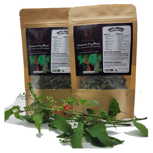 Organic Jamaican Dog Blood Tea – 4oz (2 x 2oz Packs) | Wildcrafted Rivina Humilis | Traditional Jamaican Herbal Tea | Handpicked Bush Tea | Inspired Gems