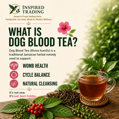 Jamaican Dog Blood Bush Tea wildcrafted womens herbal remedy