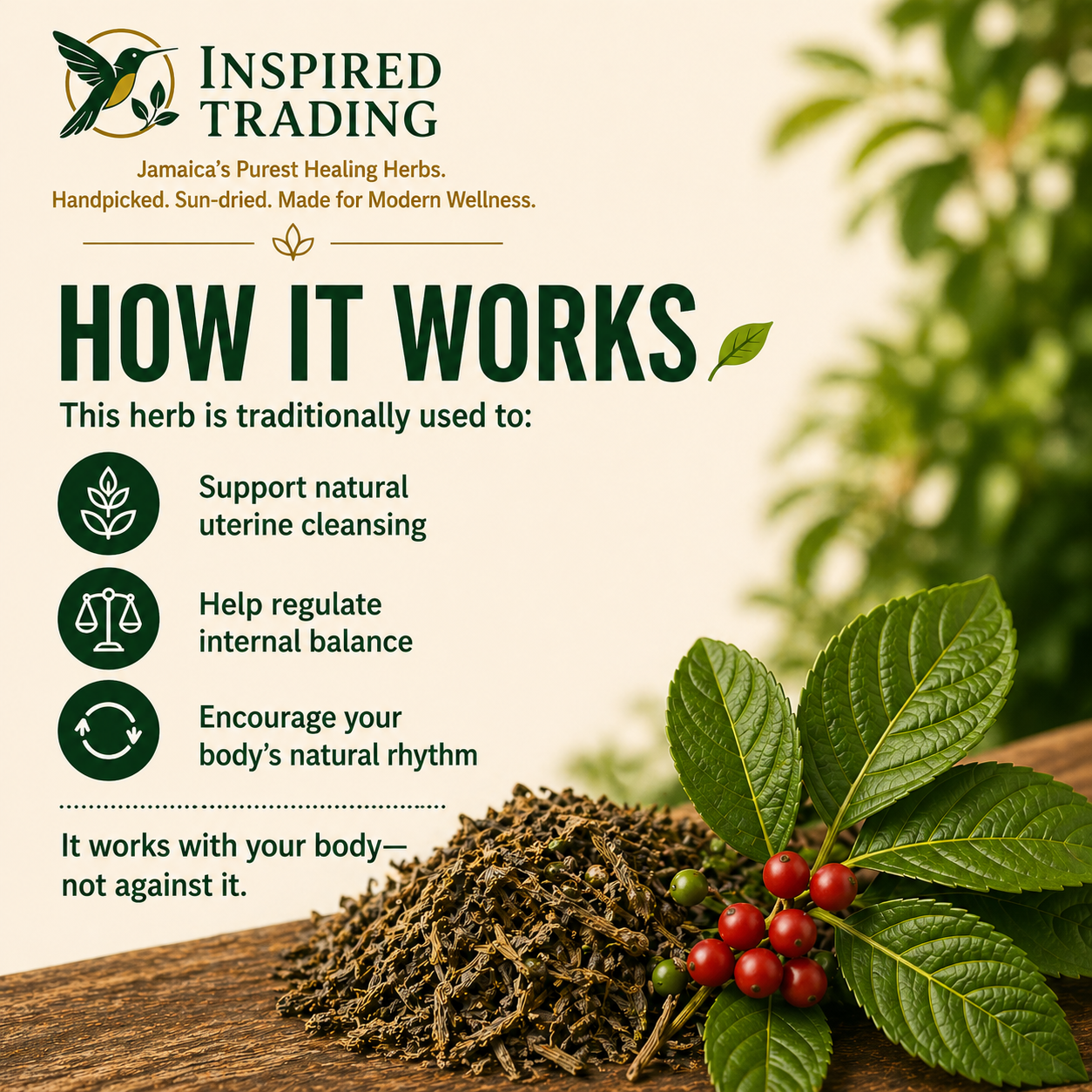 Dog Blood Bush Tea product details and traditional wellness benefits