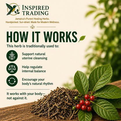 Dog Blood Bush Tea product details and traditional wellness benefits