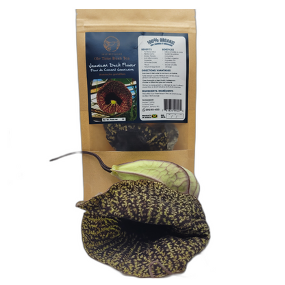 Jamaican Duck Flower Tea – Wildcrafted Herbal Tea from Jamaica – 100% Handpicked – Whole Dried Flower (1 Flower) – Natural Wellness Herbal Blend – Inspired Gems