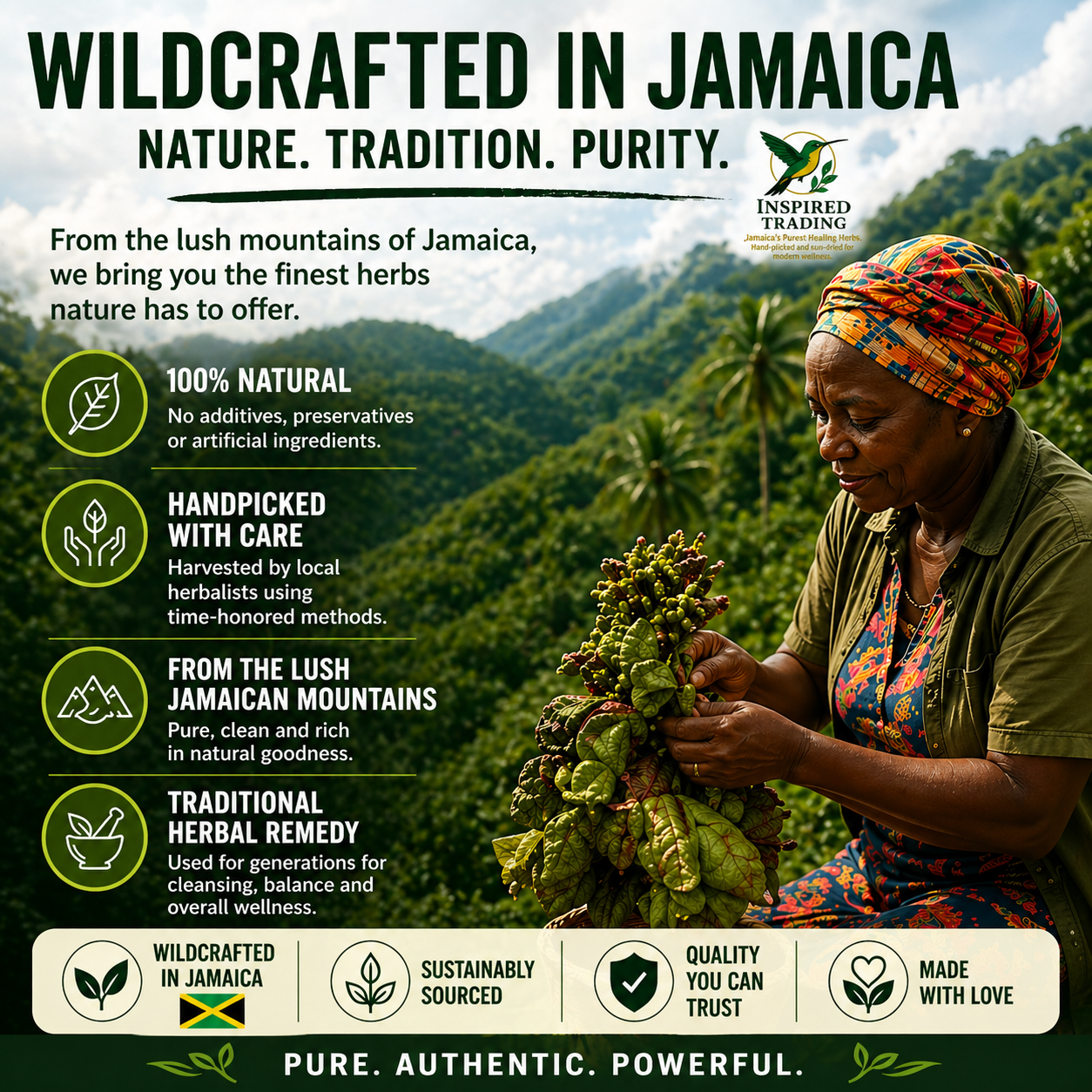 Wildcrafted Jamaican Duck Flower natural cleanse product display