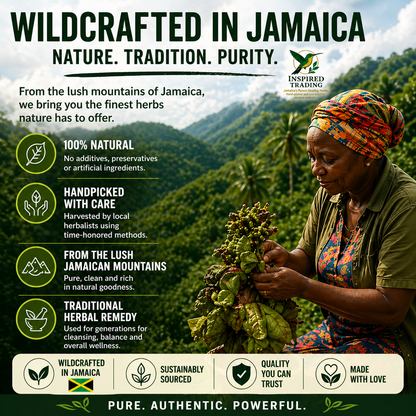 Wildcrafted Jamaican Duck Flower natural cleanse product display