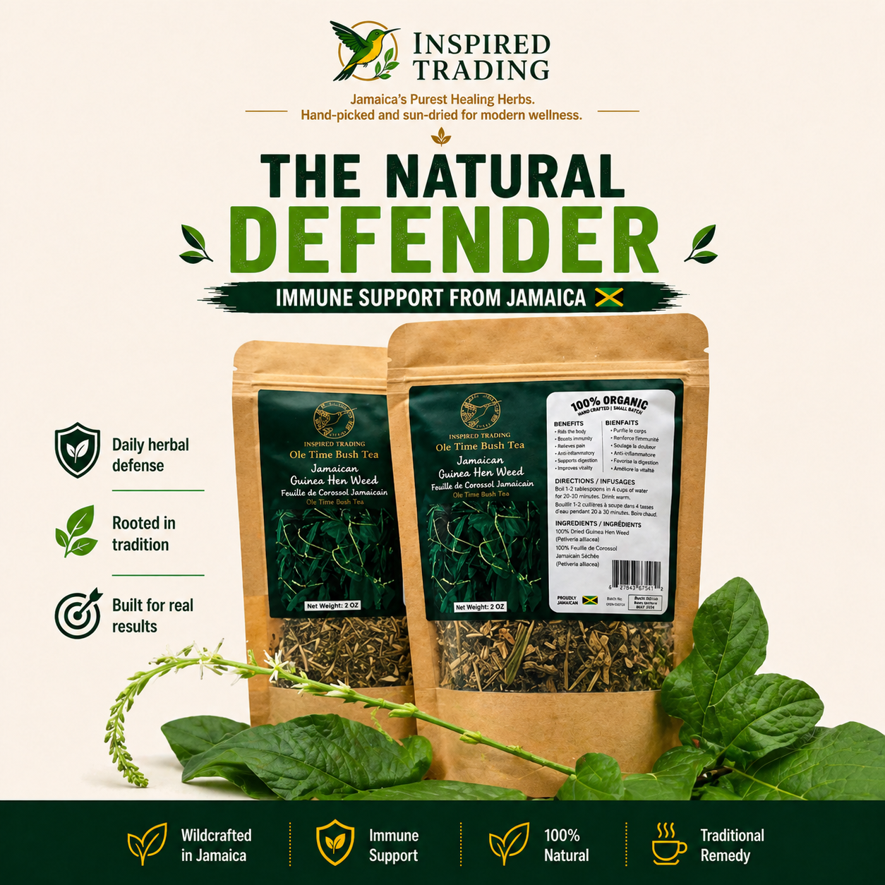 Authentic Jamaican Guinea Hen Weed dried herb for immune support - front view
