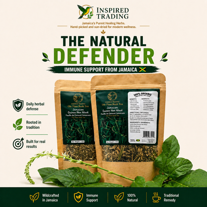 Authentic Jamaican Guinea Hen Weed dried herb for immune support - front view
