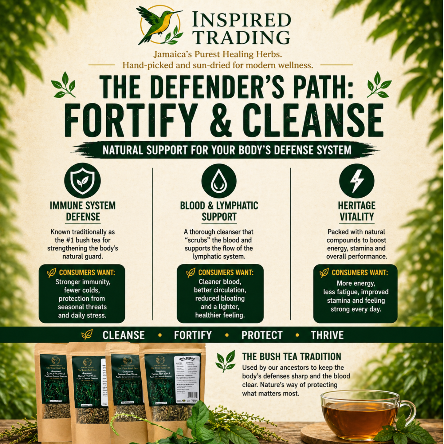 Jamaican Guinea Hen Weed 2-pack herbal tea for detox and immune health