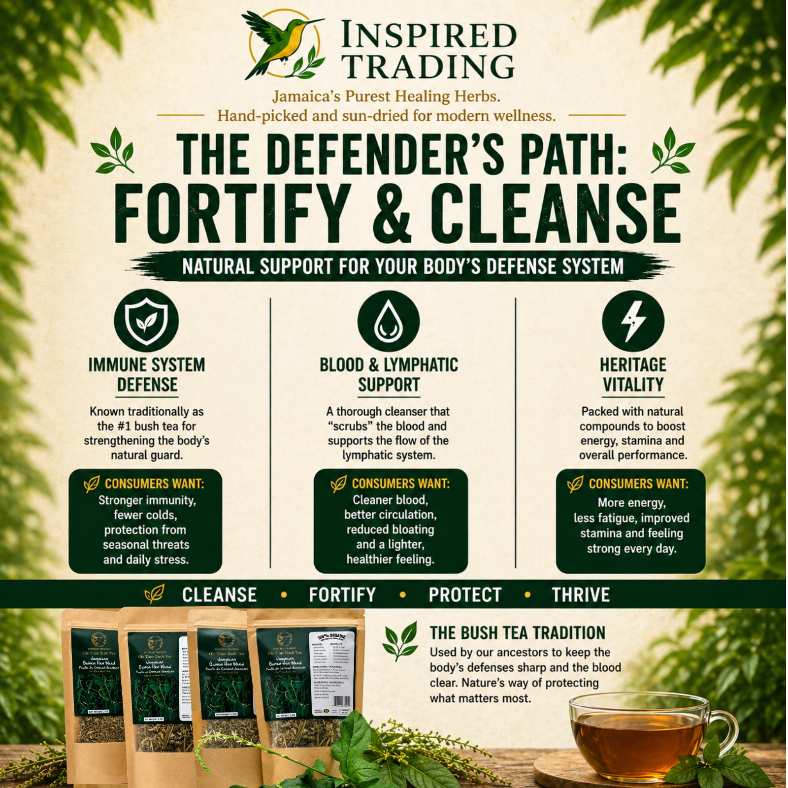 Jamaican Guinea Hen Weed 2-pack herbal tea for detox and immune health