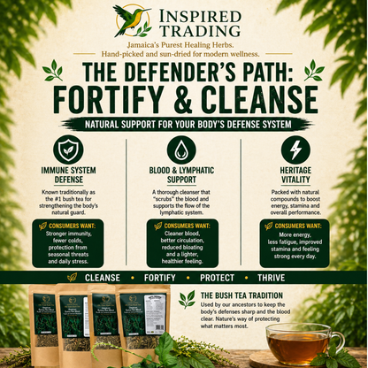 Jamaican Guinea Hen Weed 2-pack herbal tea for detox and immune health