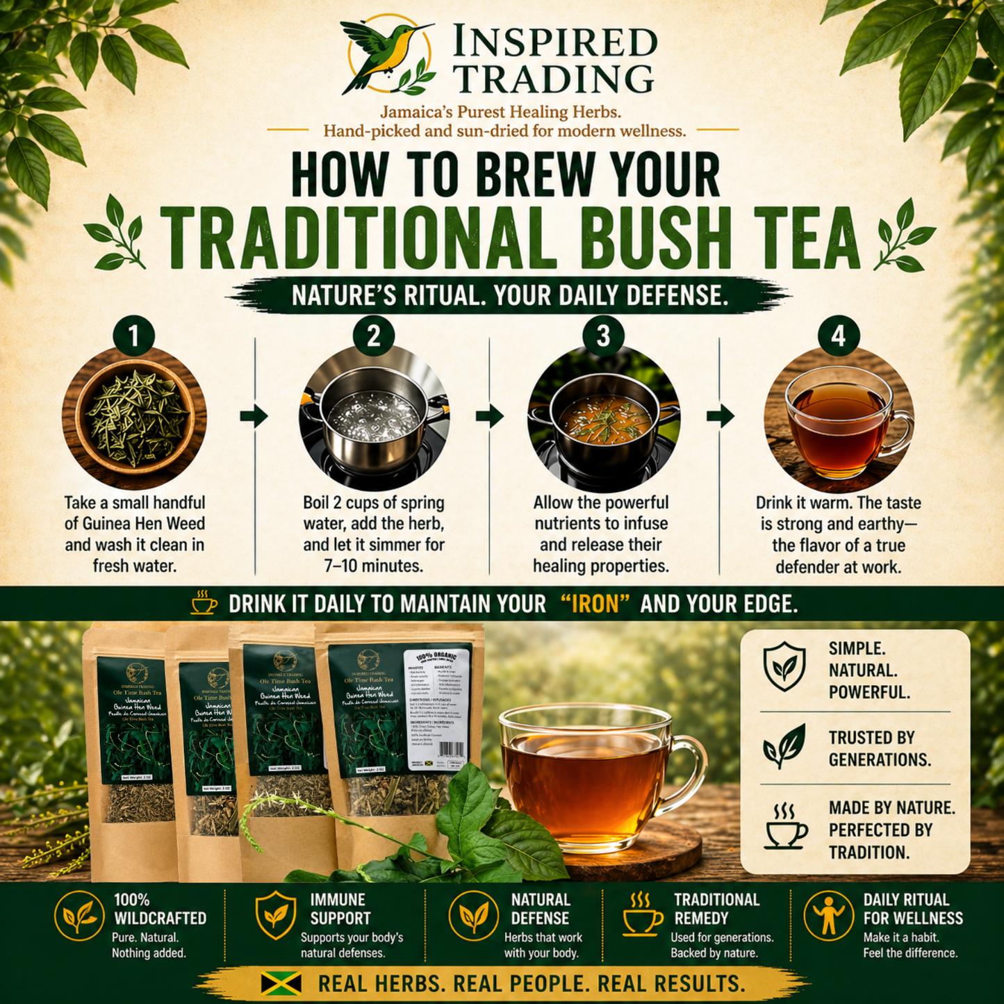 Guinea Hen Weed Anamu tea product details and health benefits