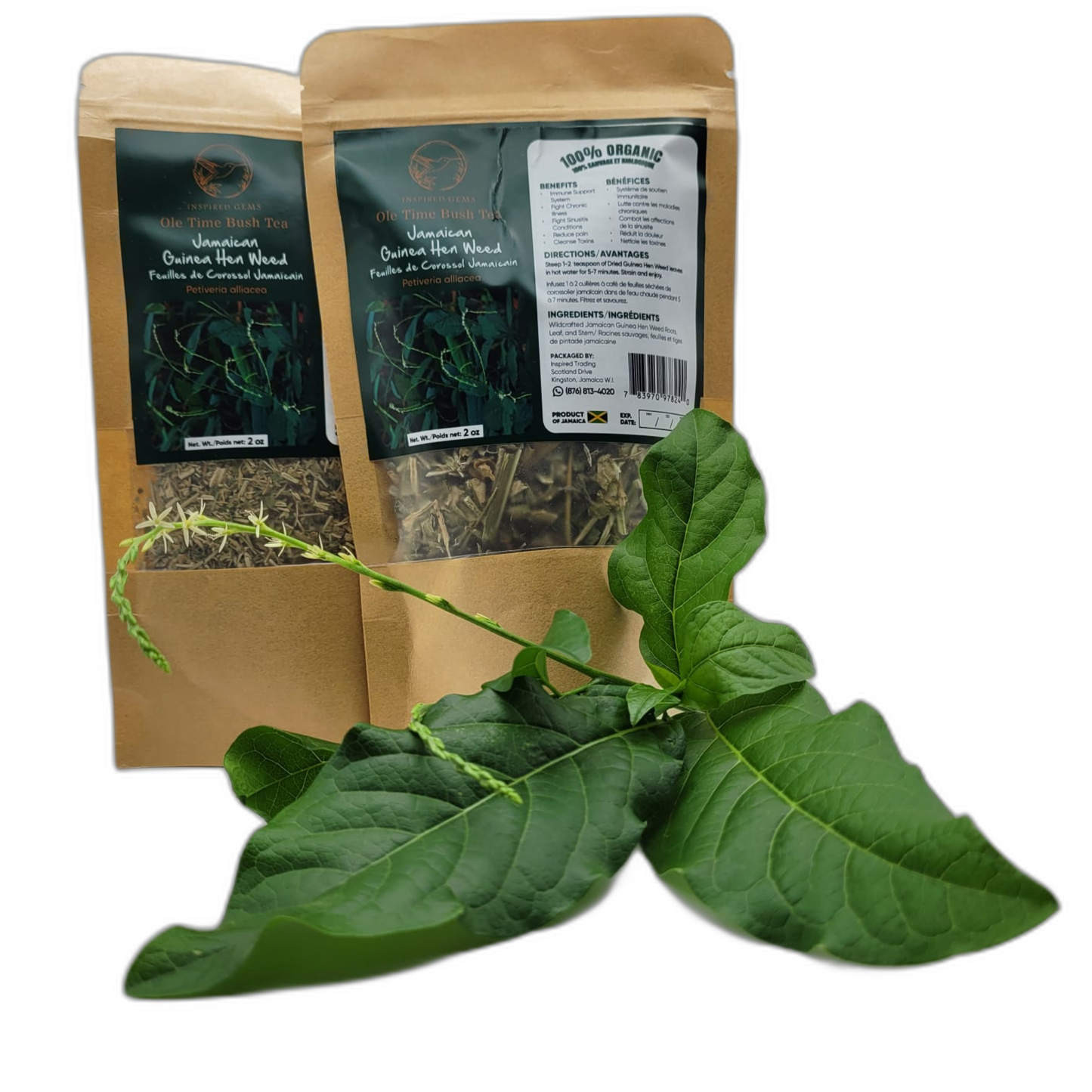 Jamaican Guinea Hen Weed Tea – 4oz (2 x 2oz Packs) | Handpicked Loose Leaf Herbal Tea | Anamu Herbs – Dried Leaves 100% Organic from Jamaica - Inspired Gems