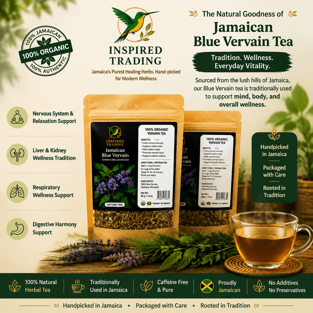 Authentic Jamaican Blue Vervain | The Natural Nerve Settler - Ship in 24hrs- Available in US & CA - Inspired Trading