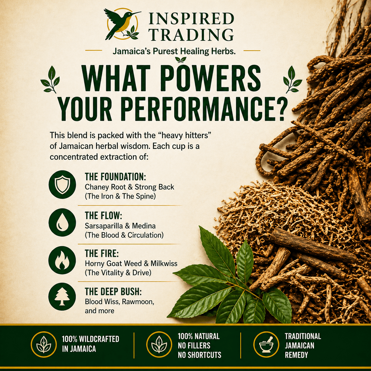 Authentic Jamaican Caveman Brew | The 8 - Root Vitality Ritual - Ship in 24hrs - Available in US & CA - Inspired Trading