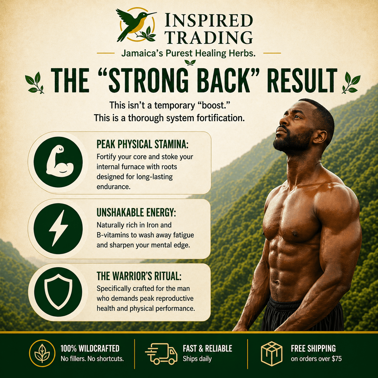 Authentic Jamaican Caveman Brew | The 8 - Root Vitality Ritual - Ship in 24hrs - Available in US & CA - Inspired Trading
