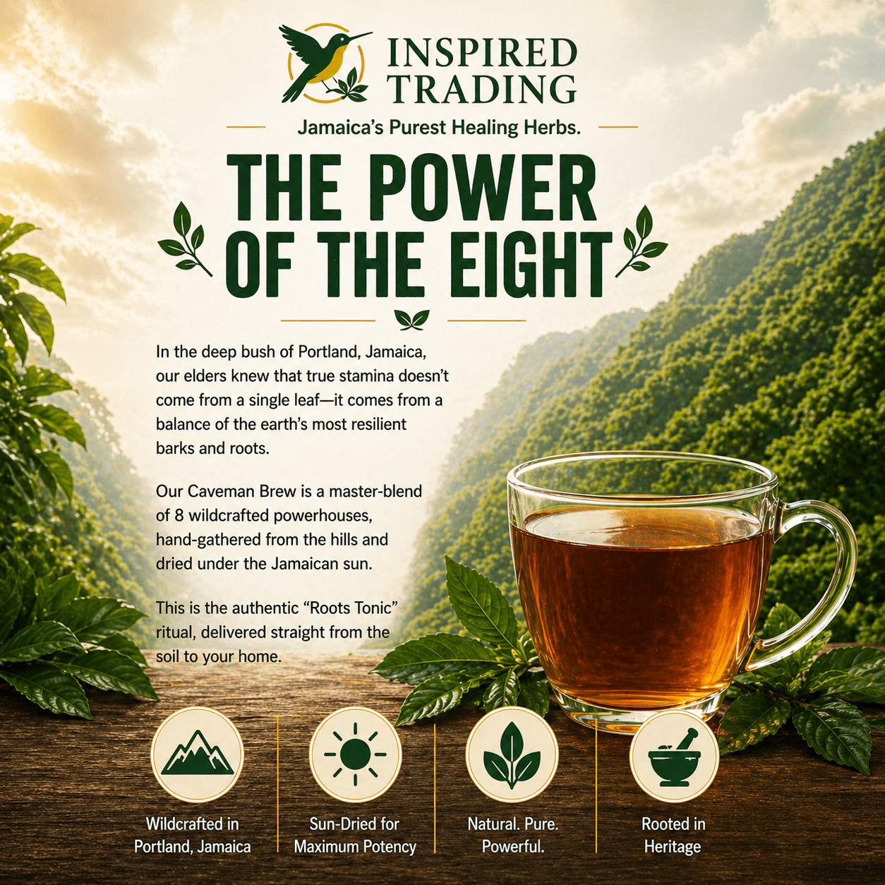 Authentic Jamaican Caveman Brew | The 8 - Root Vitality Ritual - Ship in 24hrs - Available in US & CA - Inspired Trading