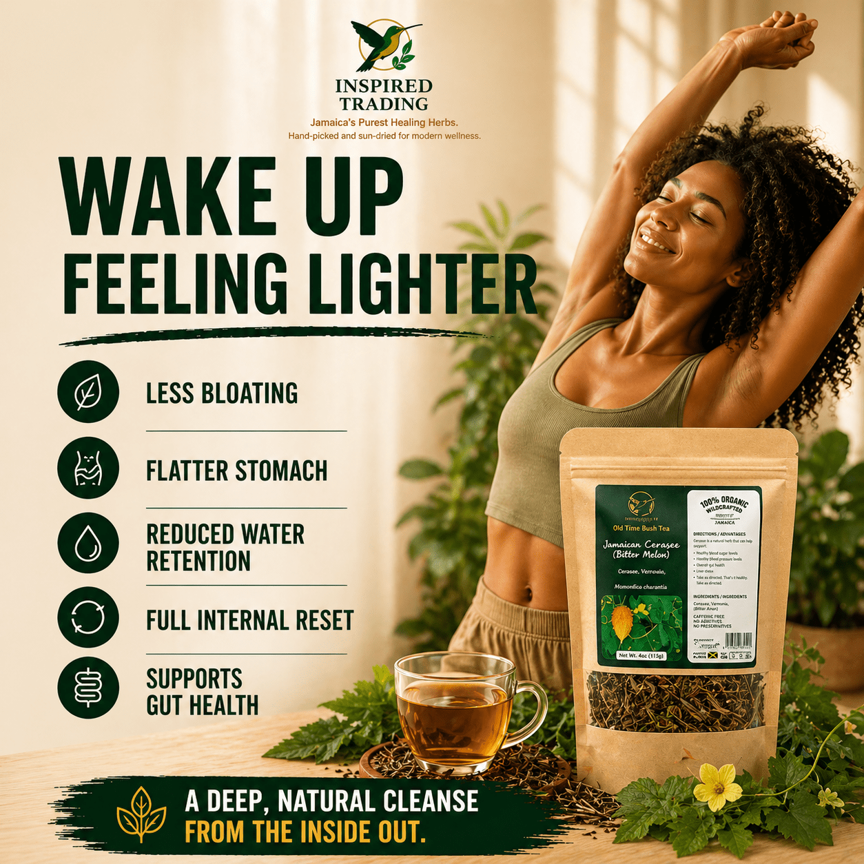Authentic Jamaican Cerasee Tea | The Blood Purifier Ritual - Ship in 24hrs - Available in US & CA - Inspired Trading