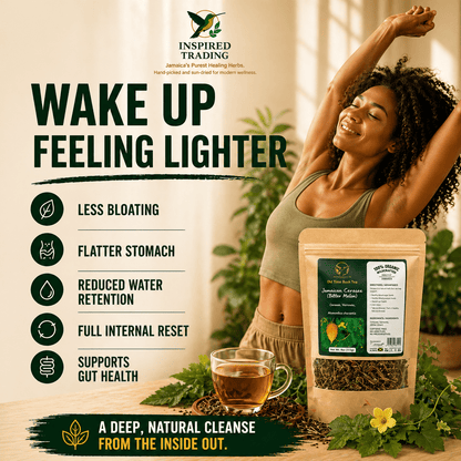 Authentic Jamaican Cerasee Tea | The Blood Purifier Ritual - Ship in 24hrs - Available in US & CA - Inspired Trading