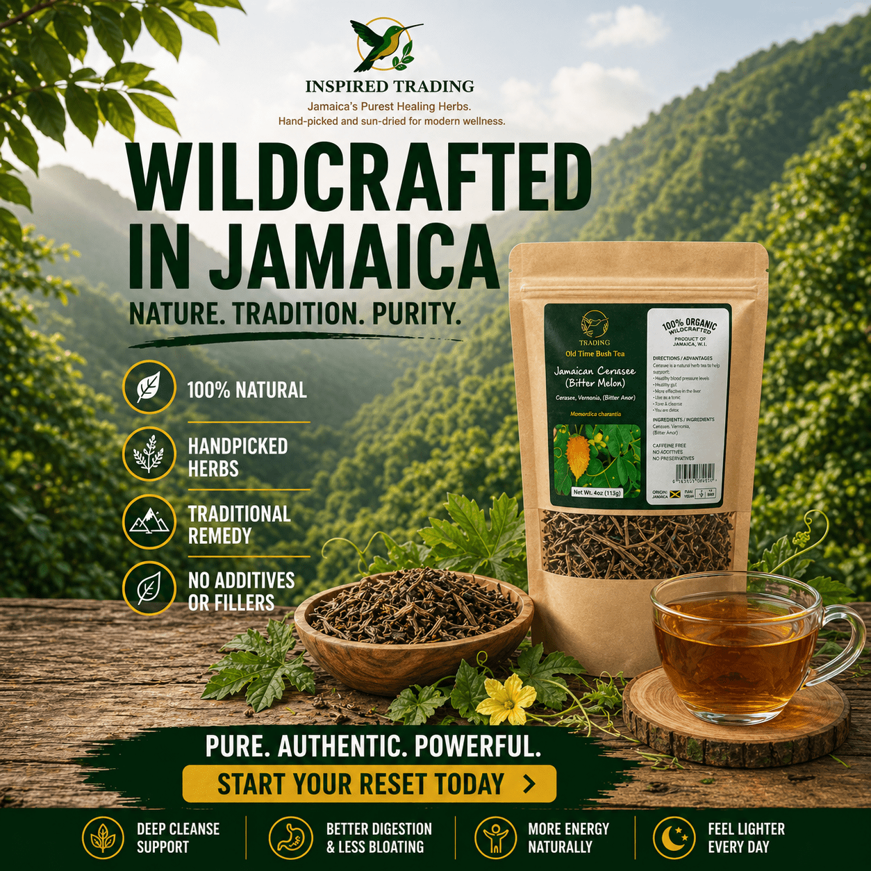 Authentic Jamaican Cerasee Tea | The Blood Purifier Ritual - Ship in 24hrs - Available in US & CA - Inspired Trading