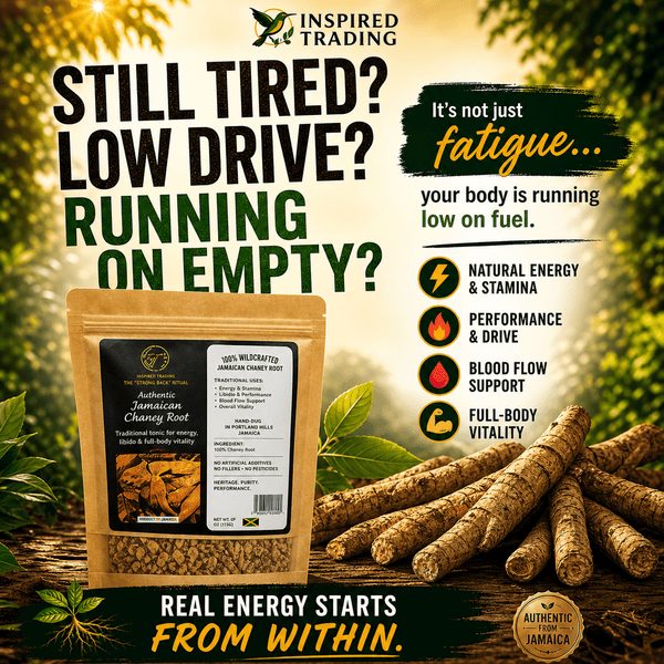 Authentic Jamaican Chaney Root (2 Packs) | The "Strong Back" Ritual - Available in US & Canada - Inspired Trading