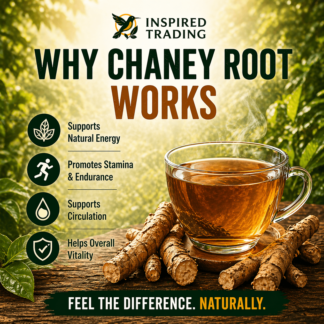 Authentic Jamaican Chaney Root (2 Packs) | The "Strong Back" Ritual - Available in US & Canada - Inspired Trading