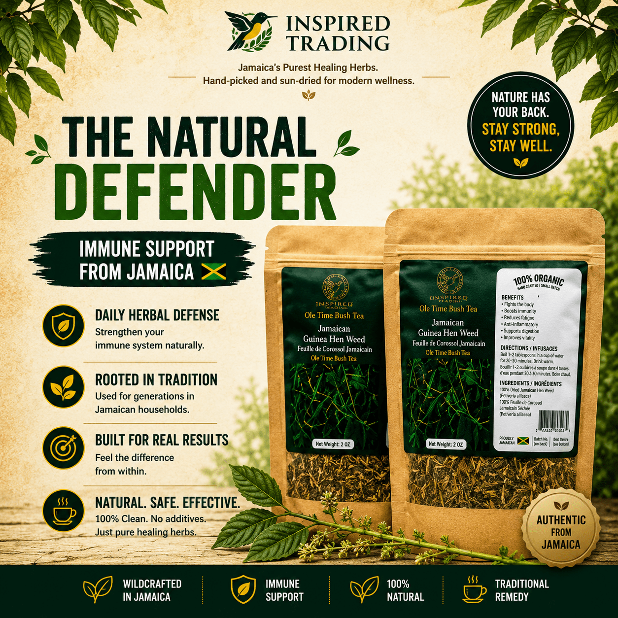 Guinea Hen Weed Anamu natural defender herbal tea close-up 2 packs