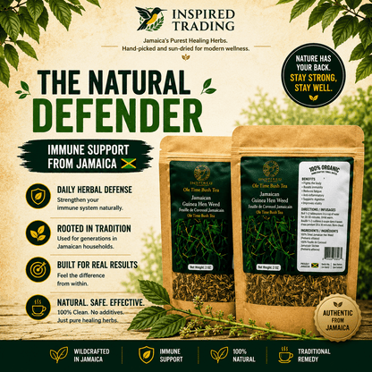 Guinea Hen Weed Anamu natural defender herbal tea close-up 2 packs