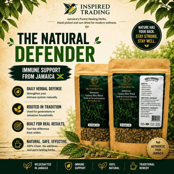 Guinea Hen Weed Anamu natural defender herbal tea close-up 2 packs