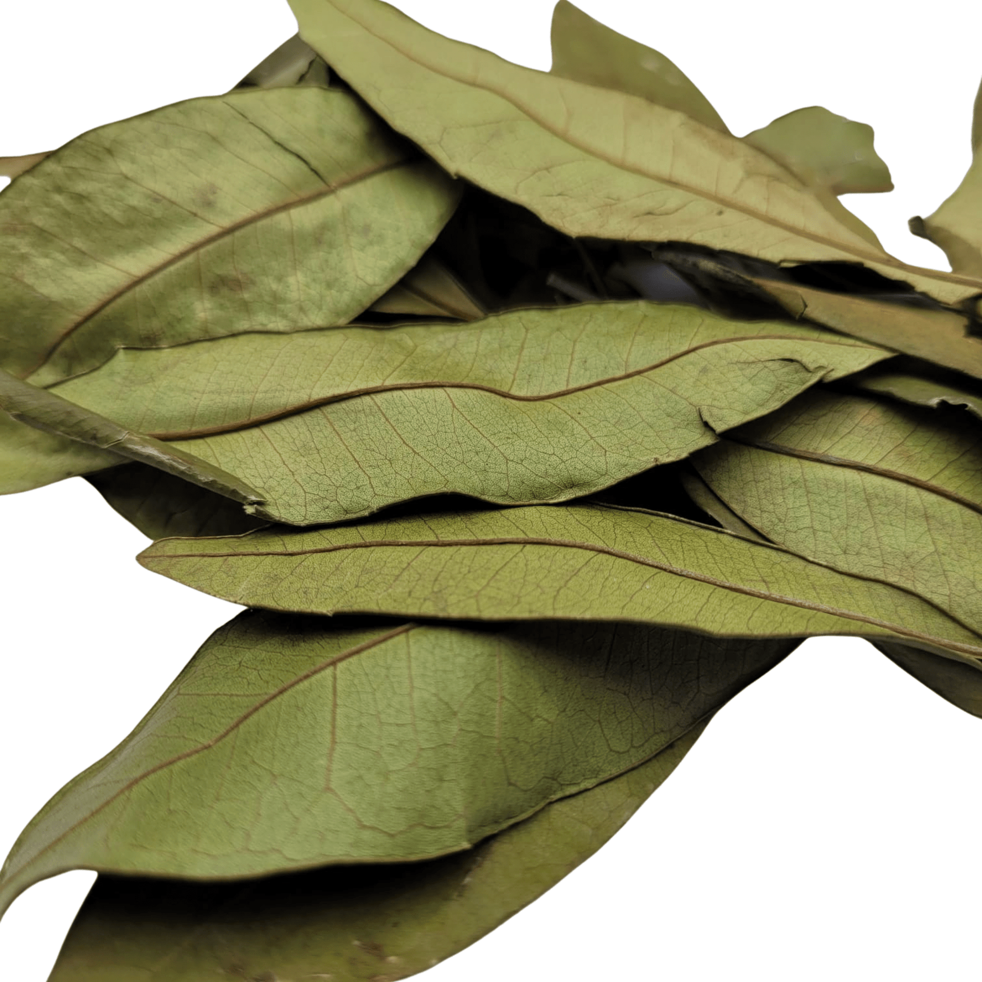 Authentic Jamaican Pimento Leaves 2oz – Whole Wildcrafted Allspice Leaves for Jerk Seasoning & Tea. - Inspired Trading