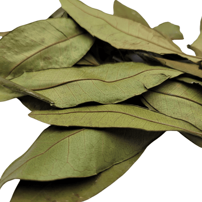Authentic Jamaican Pimento Leaves 2oz – Whole Wildcrafted Allspice Leaves for Jerk Seasoning & Tea. - Inspired Trading