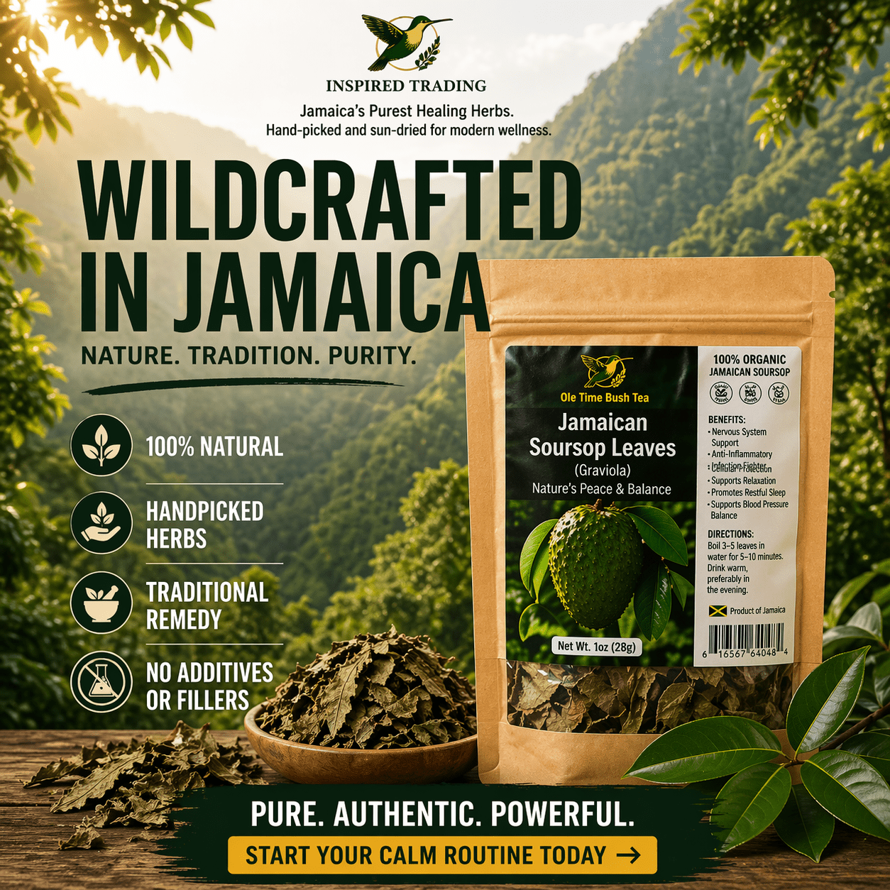 Authentic Jamaican Soursop Leaves | The Great Settler & Shield - Ship in 24hrs - Available in US & CA - Inspired Trading