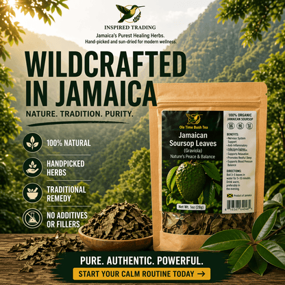 Authentic Jamaican Soursop Leaves | The Great Settler & Shield - Ship in 24hrs - Available in US & CA - Inspired Trading