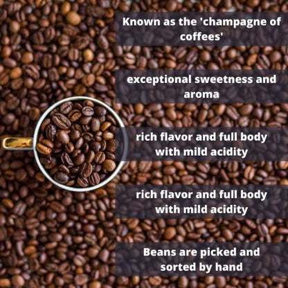 Coffee Traders 100% Jamaica Blue Mountain Coffee Beans – Premium Whole Bean Coffee – 16oz Bag – Rich, Smooth, and World-Famous Jamaican Coffee