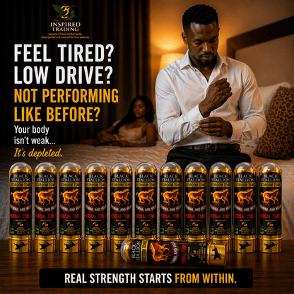 Black Stallion Herbal Tonic (12 - Pack) | Authentic Jamaican Vitality Drink - Ship in 24hrs - Available in US & CA