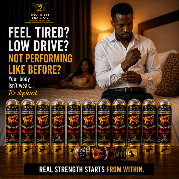 Black Stallion Herbal Tonic (12 - Pack) | Authentic Jamaican Vitality Drink - Ship in 24hrs - Available in US & CA