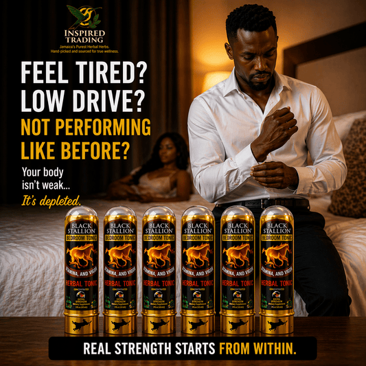 Black Stallion Herbal Tonic (6 - Pack) | Authentic Jamaican Vitality Drink - Ship in 24hrs - Available in US & CA