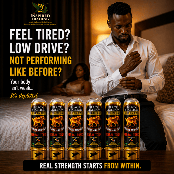 Black Stallion Herbal Tonic (6 - Pack) | Authentic Jamaican Vitality Drink - Ship in 24hrs - Available in US & CA