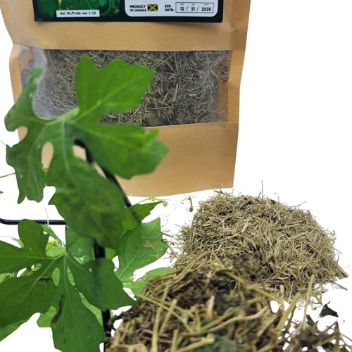 Close-up of dried Jamaican Cerasee herbs and fresh green bitter melon leaves on a white background