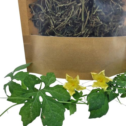 Close-up of dried Jamaican Cerasee loose leaf tea with fresh yellow flowers and green vines on a white background