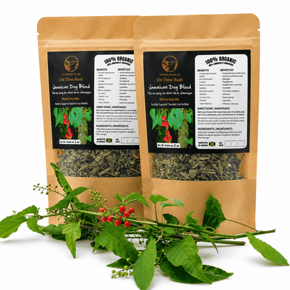 Jamaican Dog Blood Bush Tea | Reproductive Health-Fertility Tea -Avail in US & Canada - Inspired Trading